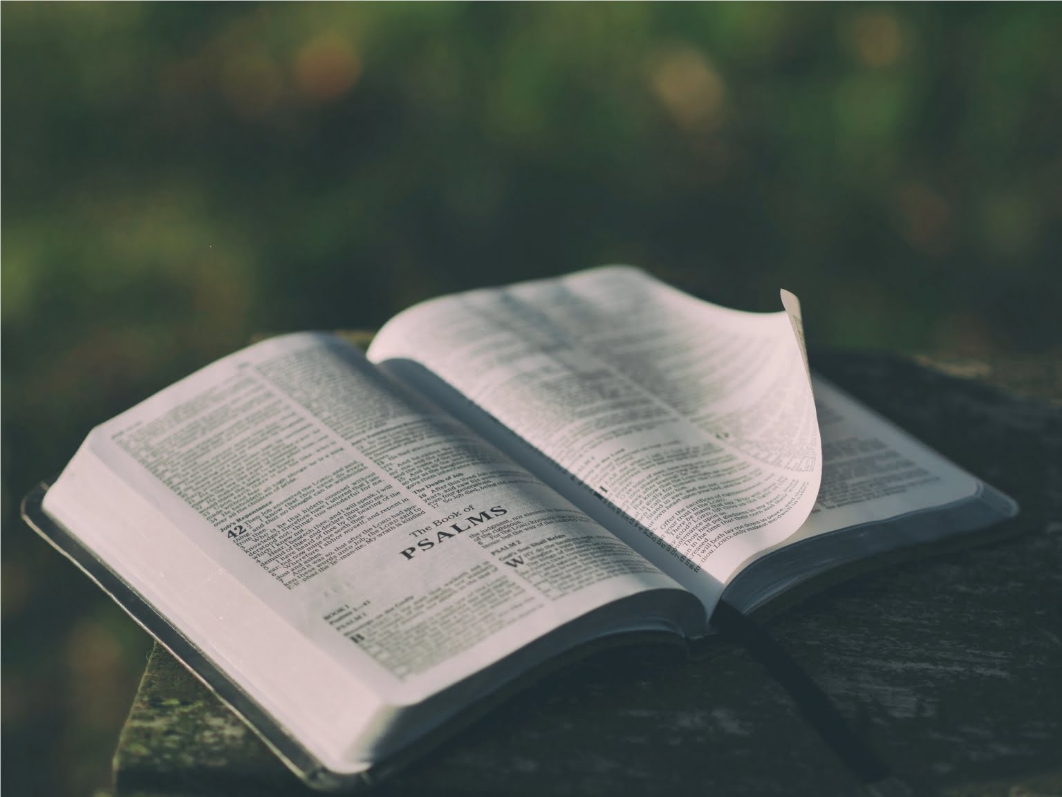 10 Bible Verses about Coping With Worry | San Diego Christian Counseling
