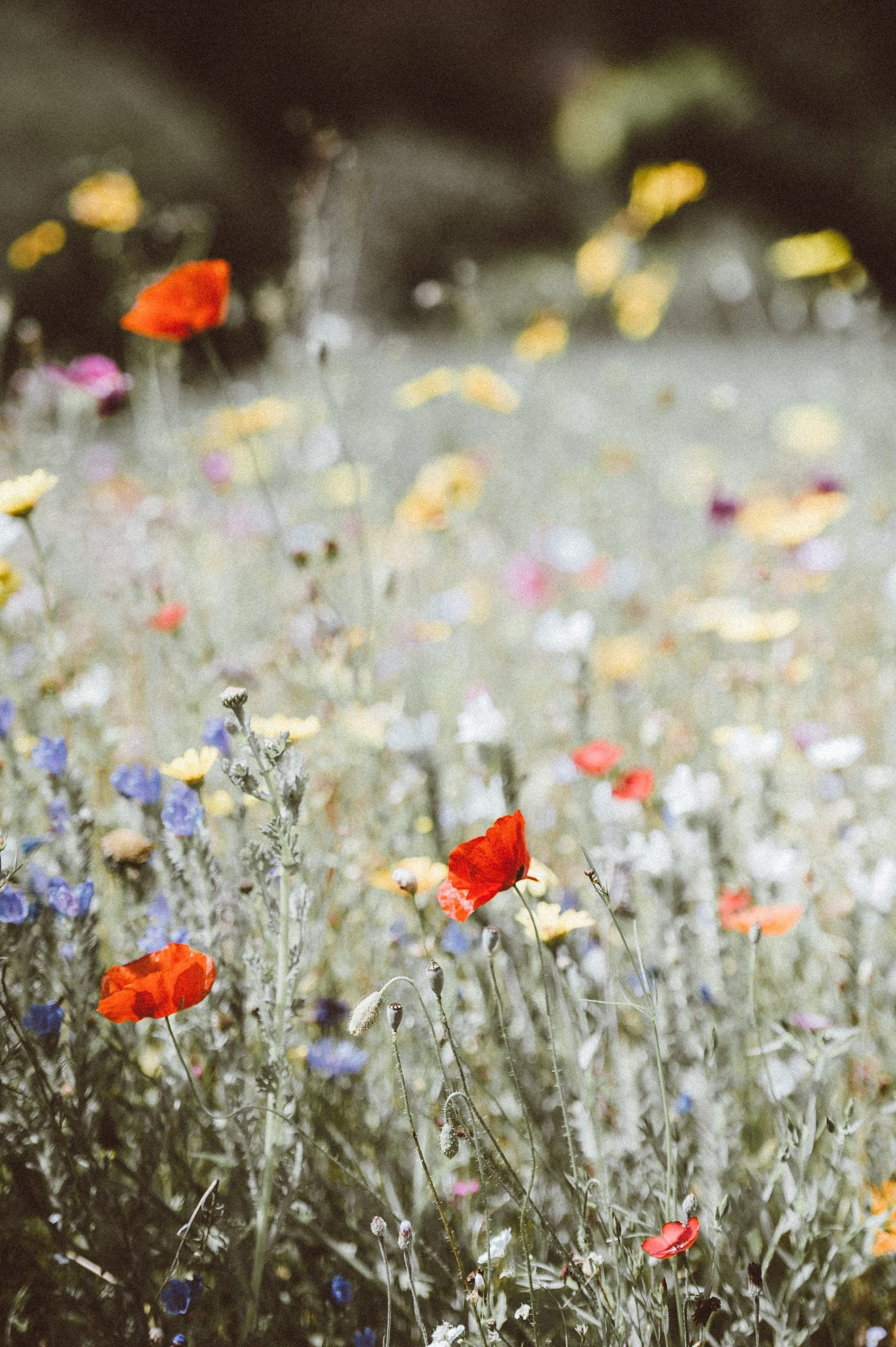 5 Tips for How to Communicate Better | San Diego Christian Counseling