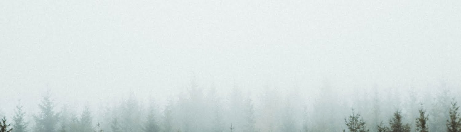 Finding Peace Amid Turbulence: Bible Verses About Anxiety 1